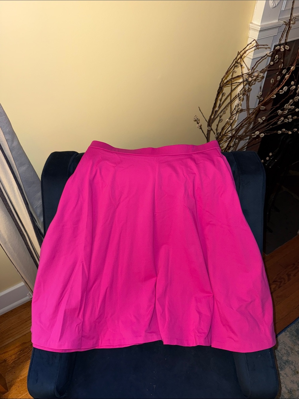 Adrienne Vittadini Bright Fuchsia Circle Skirt